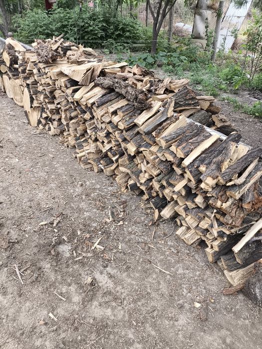 Продам дрова карагача