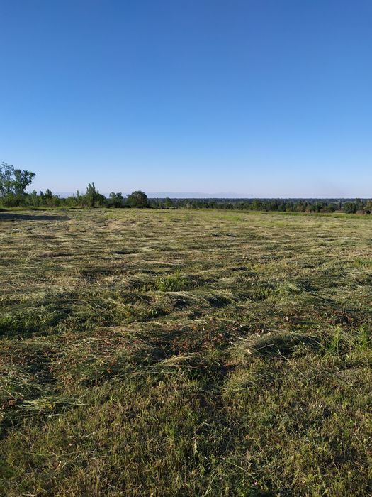 Земельный участок