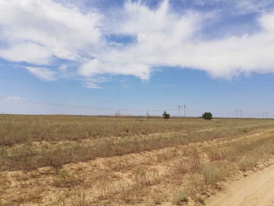 Сдам в аренду земельные участки