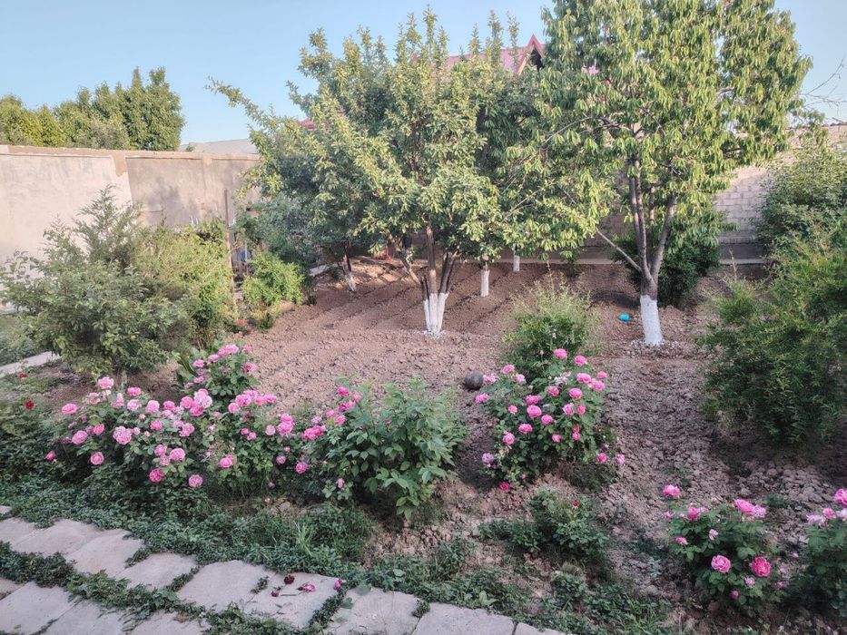 Qibray vodokanal kochasida 6 sotx uy sotiladi