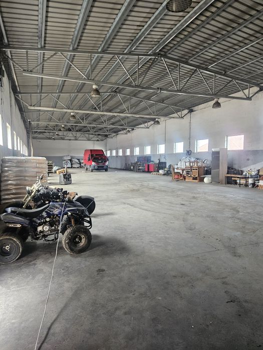 Hala de închiriat Giarmata