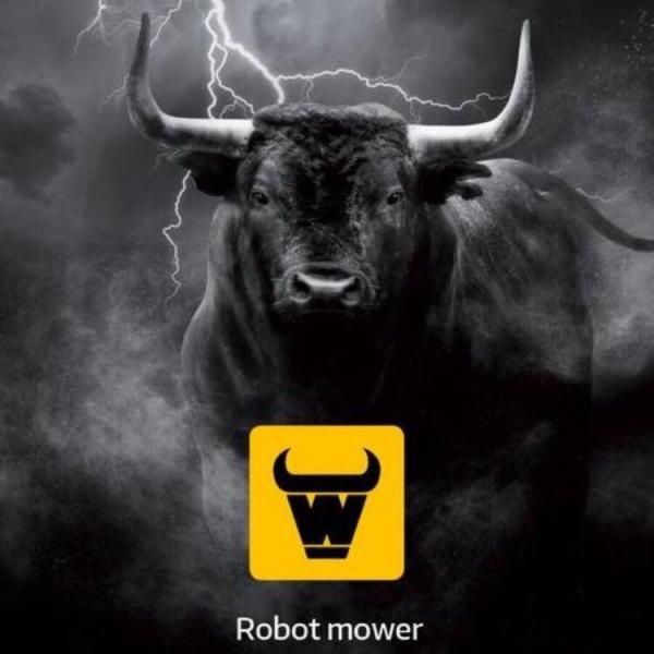 Электрическая газонокосилка MOWOX 1200 W