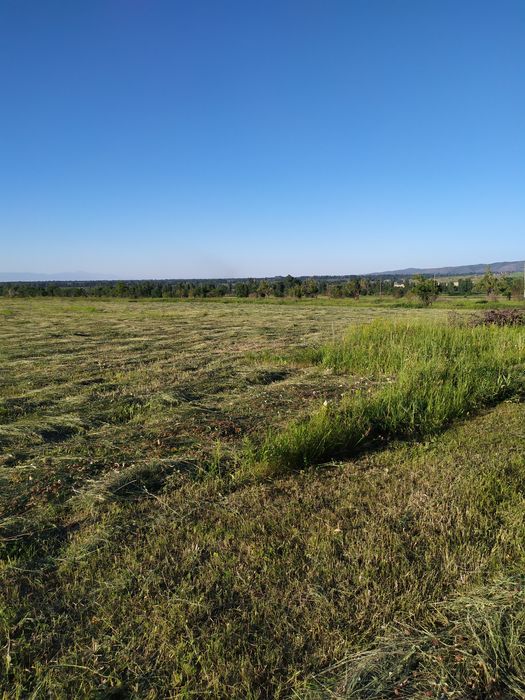 Земельный участок