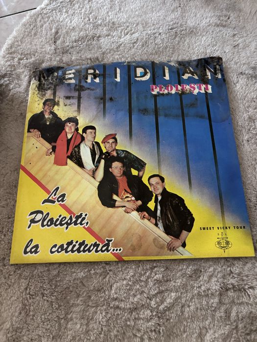 Discuri vinilin