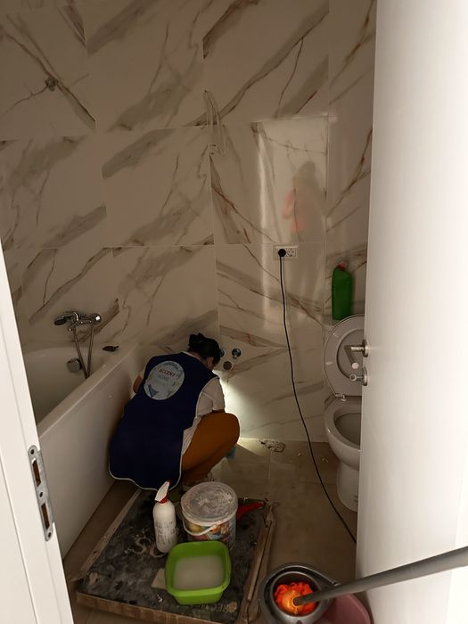 Curatenie generala  si intretinere