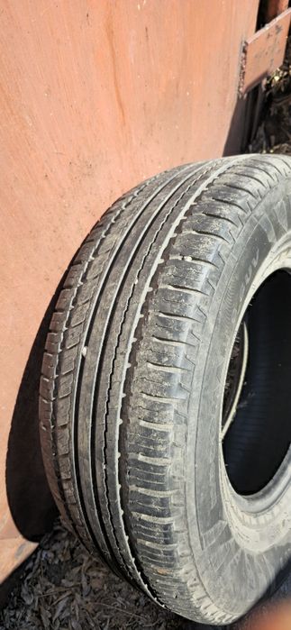 нокиан 4 баллона