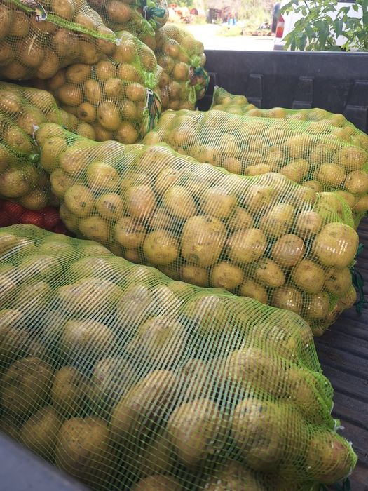 Продам картошку оптом