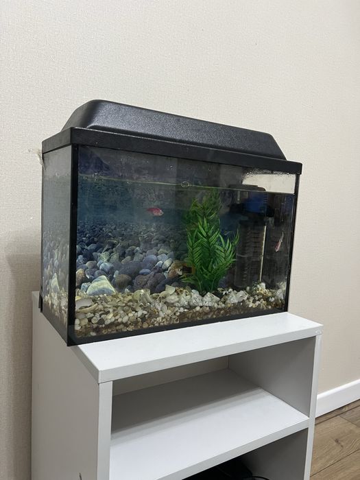 Аквариум 25 литров  с рыбками