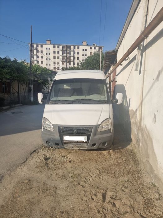 Gazel sotiladi..