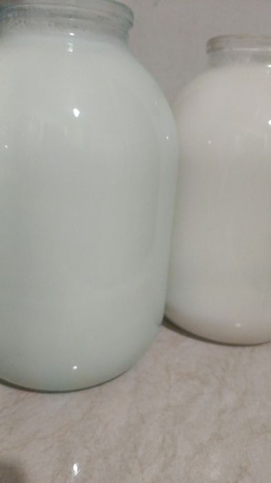 Продам домашние молоко