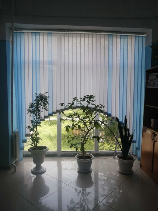 Жалюзи, рулонные шторы