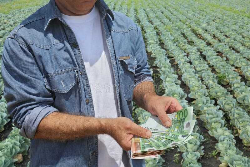 Credite și investiții: pentru afaceri, imobiliare, fermieri etc.
