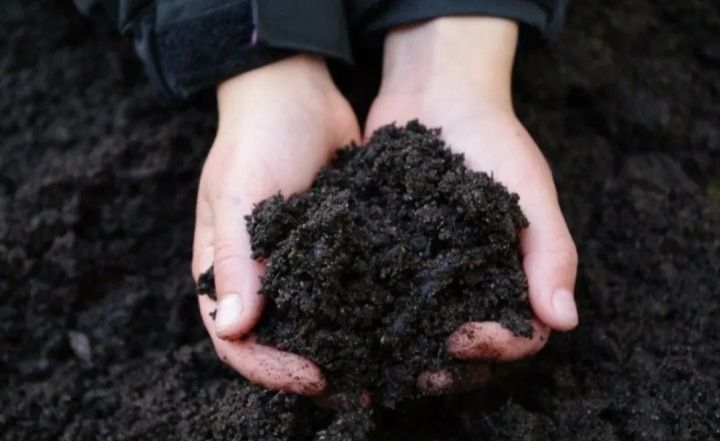 Чернозем В мешках