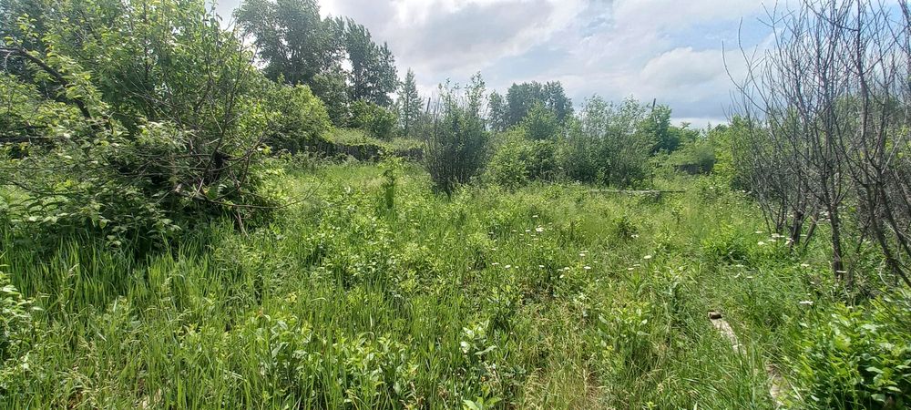 Продам дачу в СО "ЭЛЕВАТОРЩИК".