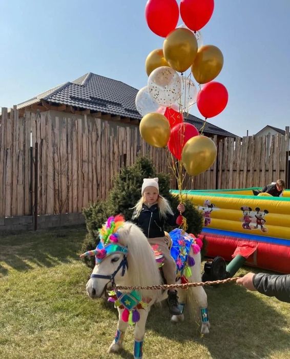 Белая Пони на Детский Праздник