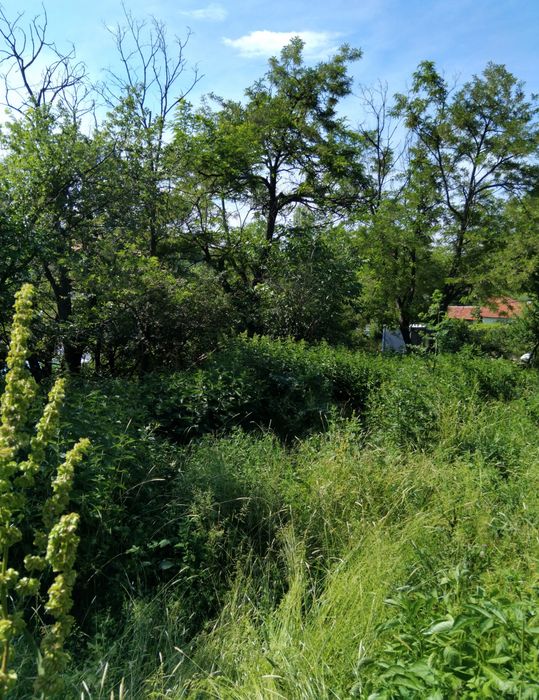 Продава парцел в с.Мламолово общ.Бобов дол