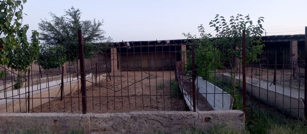 Ҳовли уй жой сотилади ферма қилиш учун мўлжалланган