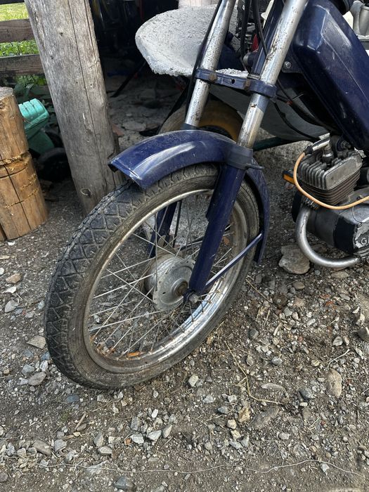 Moped gareli vip