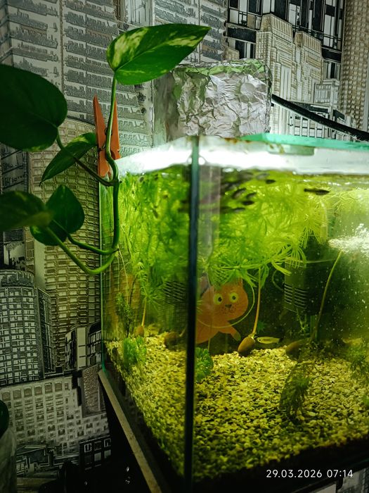 Аквариум в комплекте