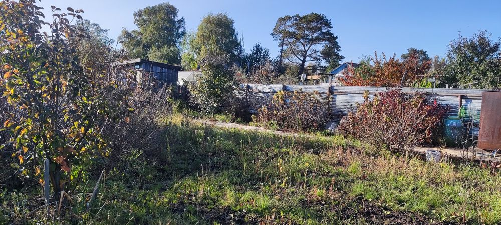 Продам дачу с баней в  СТ  Борки