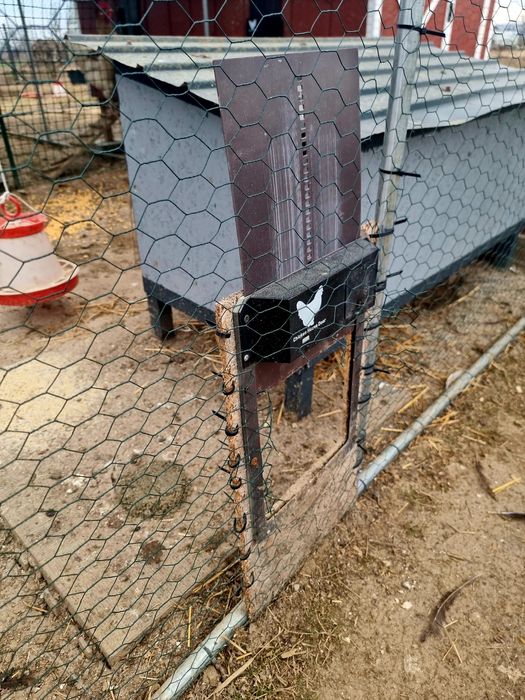 Vand usa automata pentru cotet/tarc de gaini