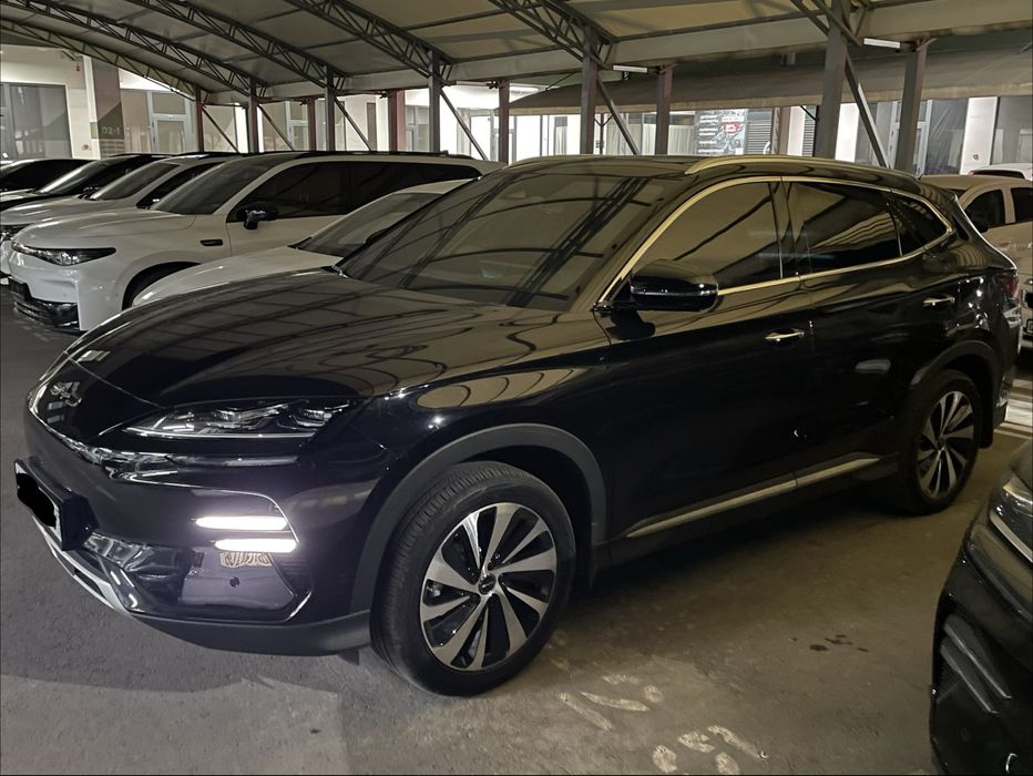 Byd Champion elektro Yili-2024 Naxt Trade-In