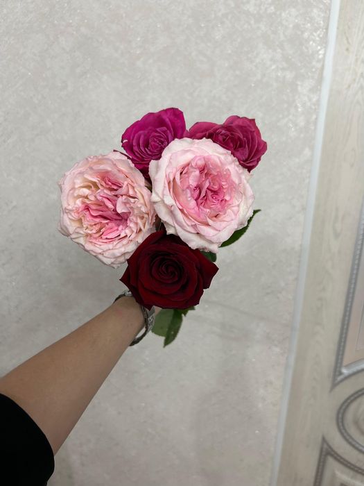 1 шт роза 600 тг