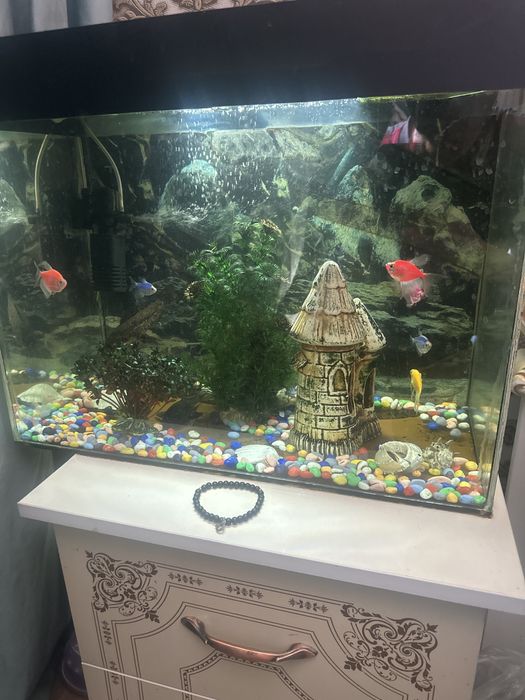 Аквариум с рыбками