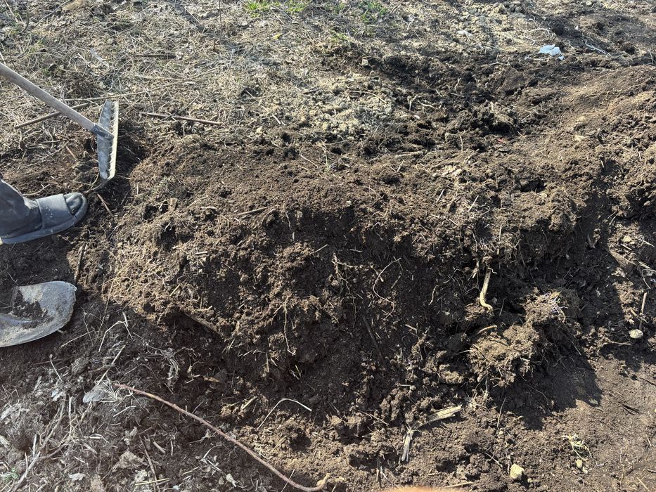 Продается биогомус