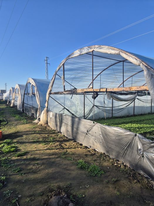Дава се под наем Земеделски имот в Пазарджик, Окръжна болница -  кв.м за 295.8 € - Снимка #2