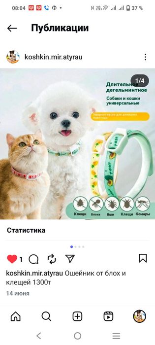 Разные виды наполнителя