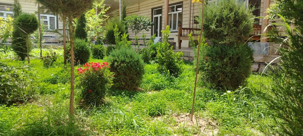 Арча ва атиргуллар ни дорилаш ва парварлаш хизмати