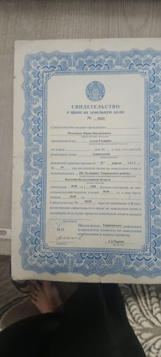 Здам в оренду землю