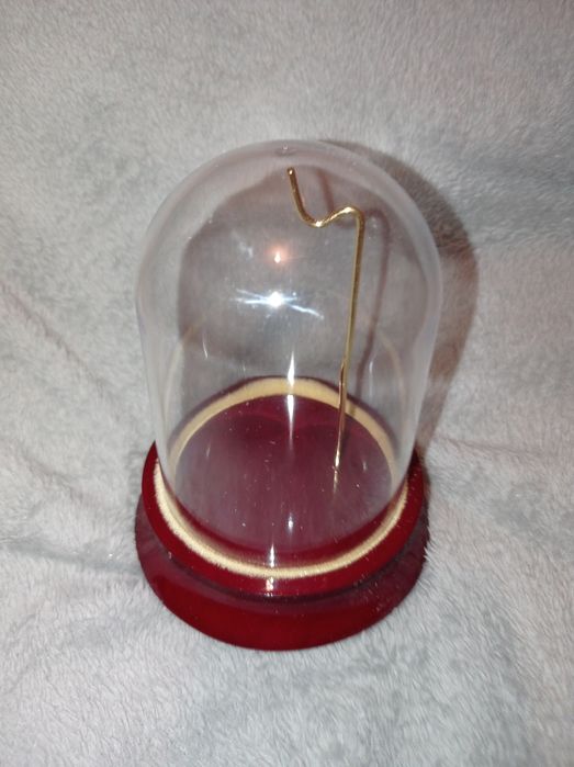 Стеклянный футляр