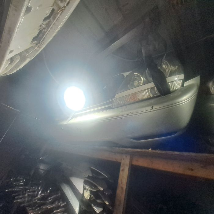 Морда носкат таёта