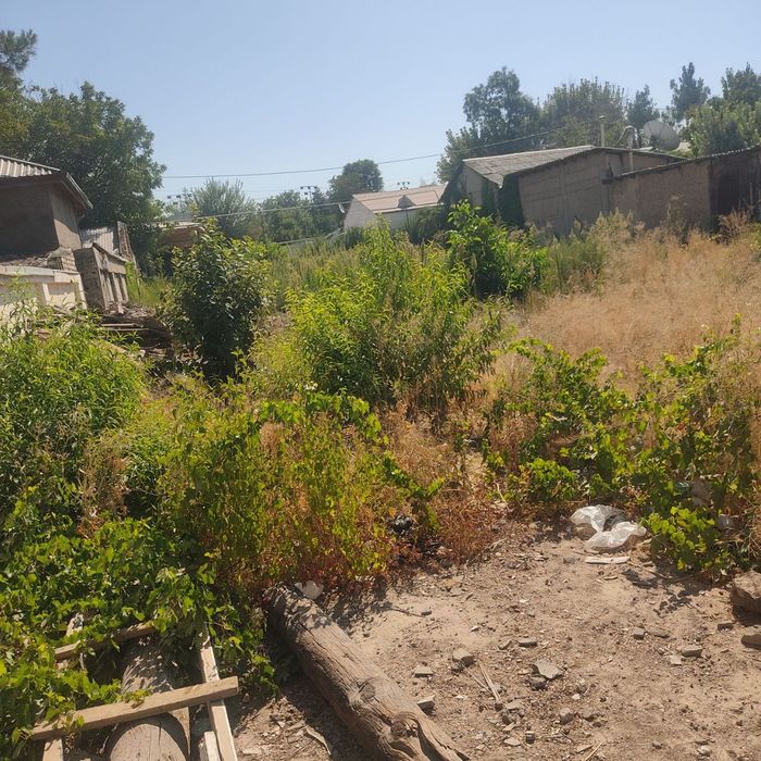 Ер сотилади дагестанский кучада