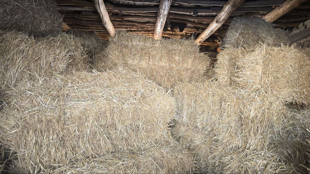 Samon pres 1.10 m 100 dona bor