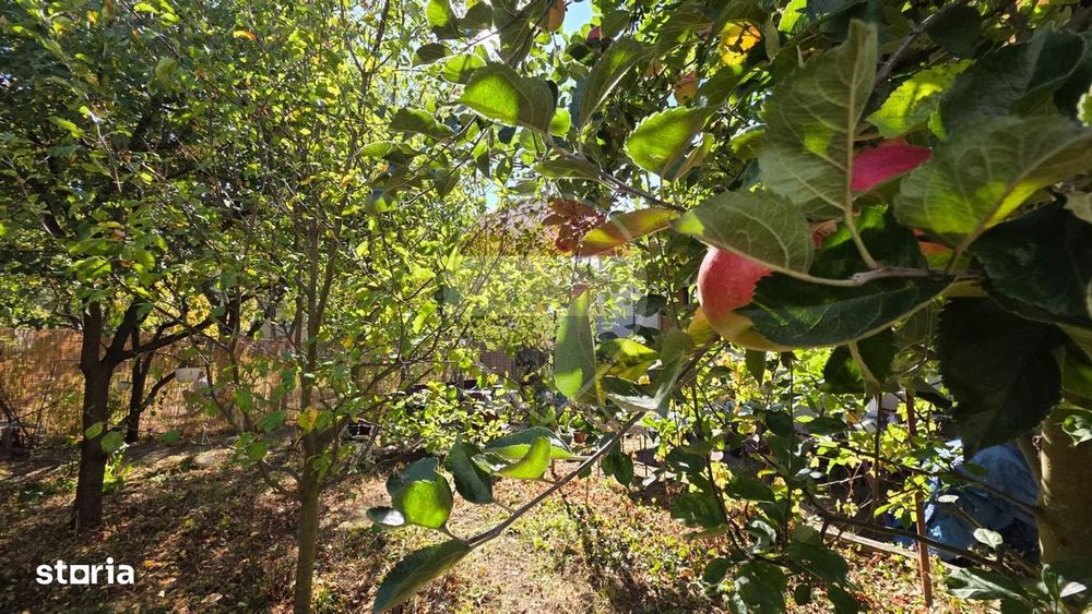 Duplex de vanzare langa Parcul Sub Arini