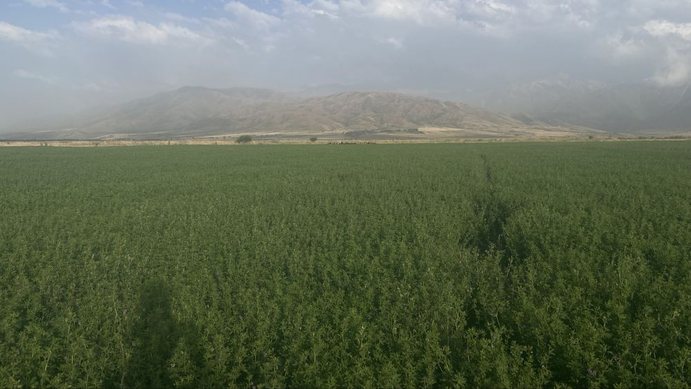 Продается земельный участок!!!