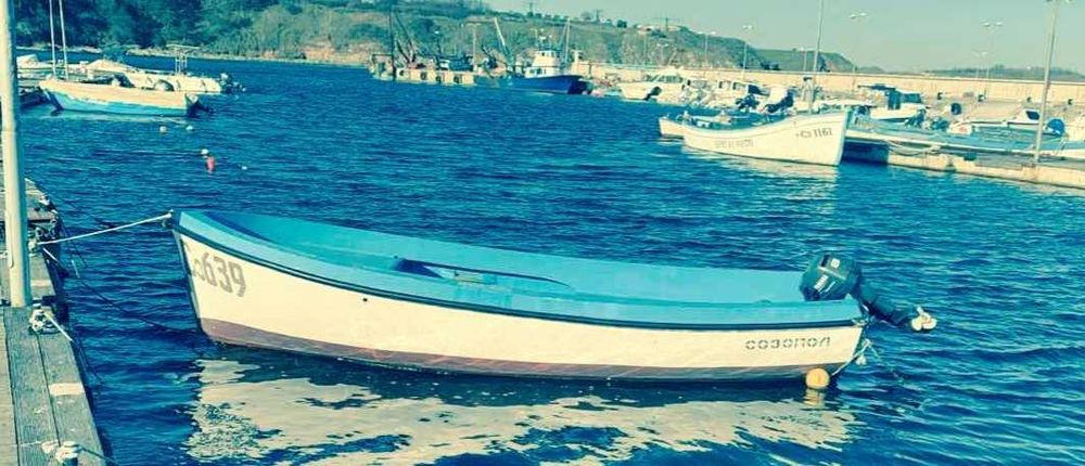 Лодка "Fish boat" 450