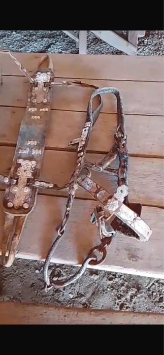 Ертоқым жүгендермен бірге сатылады