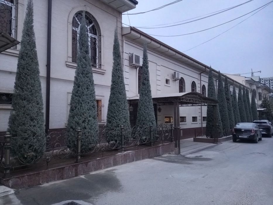 Archa kesish va dorilash xizmati Gazon
