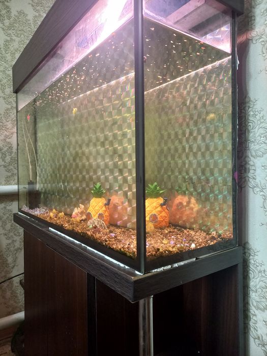 Продам аквариум в хорошем состоянии,