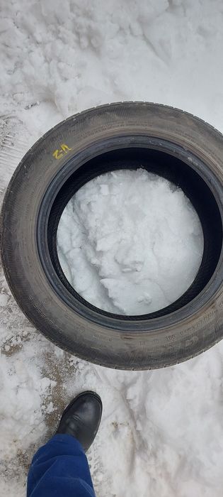 Жазғы дөңгелектер