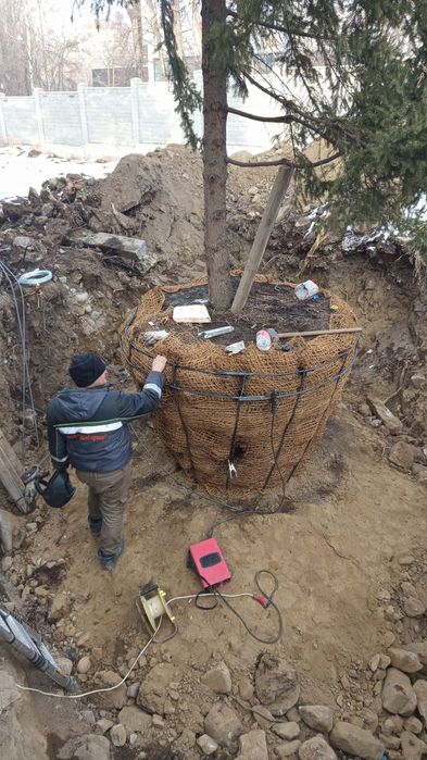 Пересадка посадка крупномеров