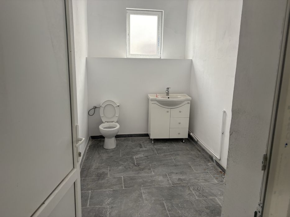 Hale de inchiriat zona strazii Oasului