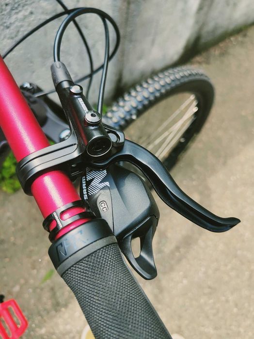 Dartmoor Primal 2022 * custom *