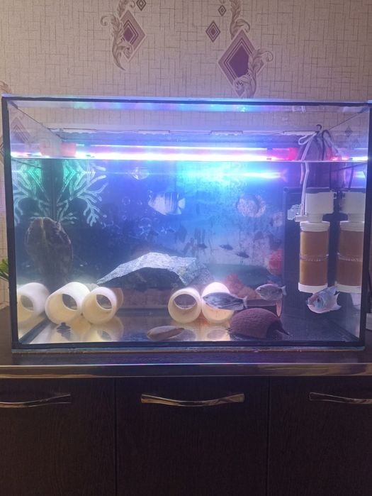 Продам аквариумы.