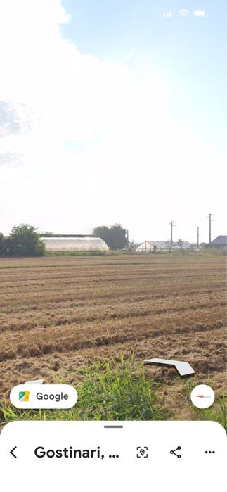 Teren de vanzare, Gostinari ,Giurgiu