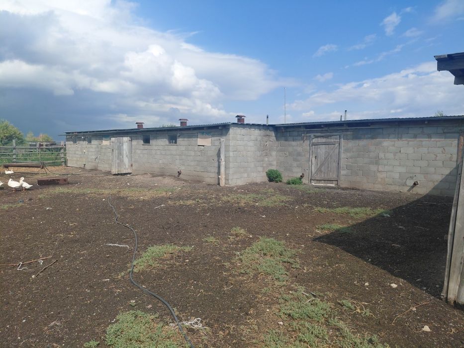 Продам дом село Табигат 100км от города